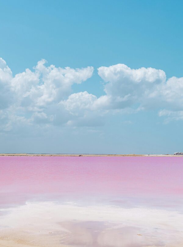 Laguna Rosada, Telchac Puerto, Mexico