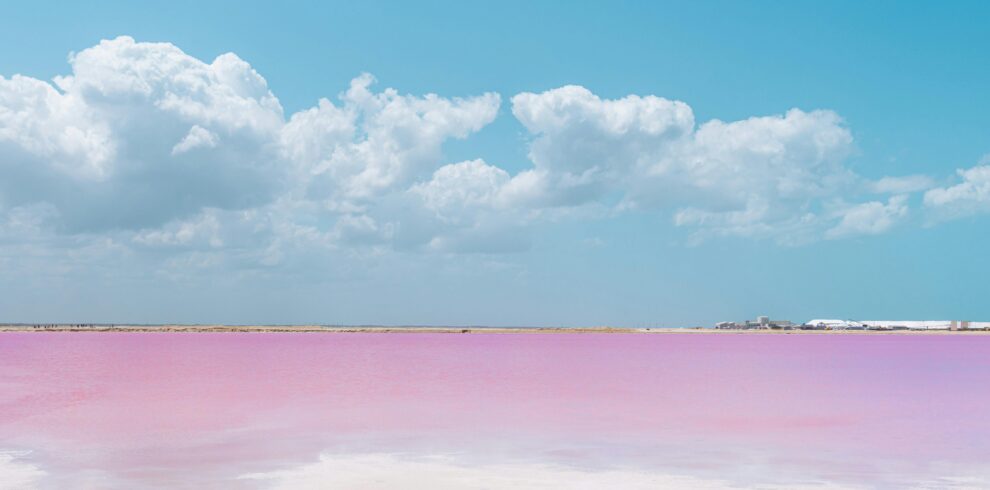 Laguna Rosada, Telchac Puerto, Mexico